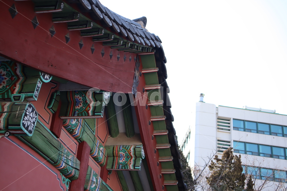 덕수궁,지붕,기와,배경,종로,풍경,한국전통,한국문화,korean traditional,korean culture,건축물,건물외관,exterior,building,structure,architecture,construction