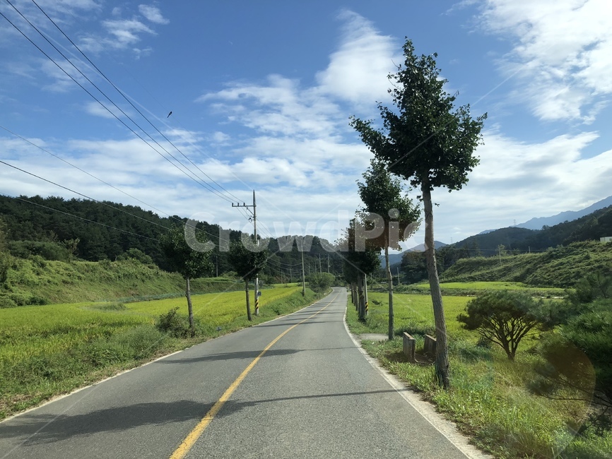 road,도로,asphalt,아스팔트,길,밭,자연,nature,자연,풍경,nature,landscape,freeway,고속 도로,highway,고속도로