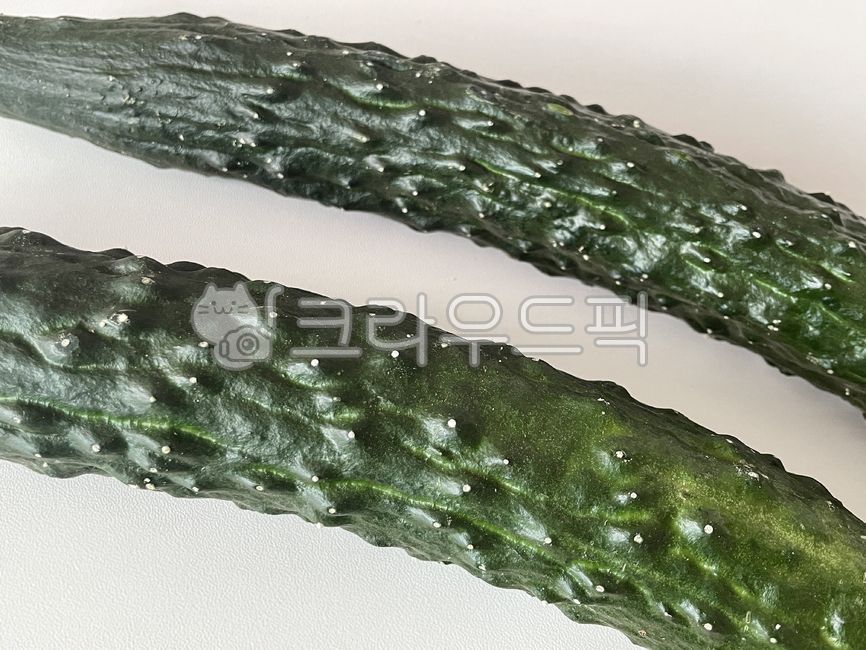 가시오이,오이,청오이,취청오이,아삭한,채소,야채,못난이오이,백다대기,다다기오이,농사,미니오이,제철,오이김치,먹을것,건강한,다이어트,초록색,수확,농부,접사,농산물