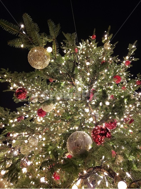 크리스마스,트리,메리크리스마스,12월25일,xmas,겨울,계절,winter,season,메리크리스마스,성탄절,merry christmas