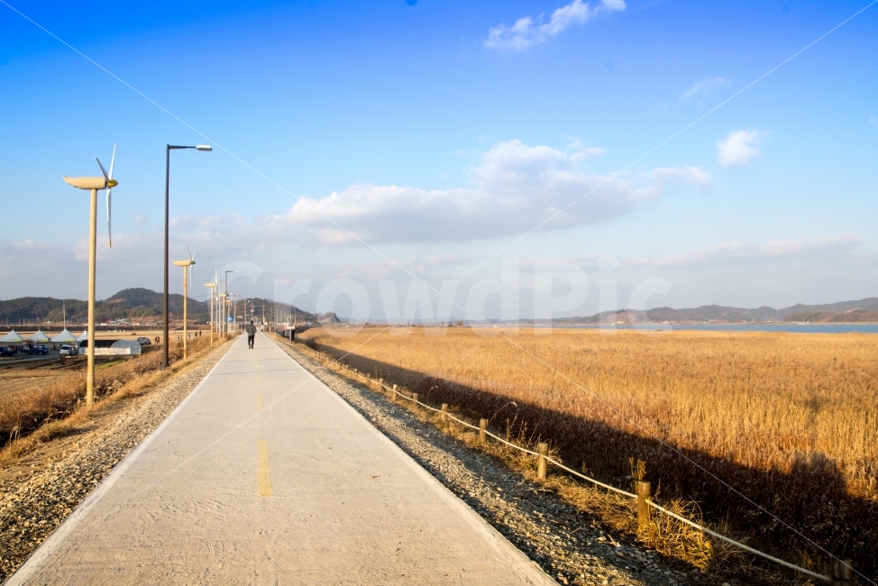 풍경,풍경사진,갈대밭,가을,감성,가을감성,감성사진,갈대,가을,계절,fall,autumn,season,자연,풍경,nature,landscape,한국자연풍경,한국자연경관,korea nature landscape,시골,마을,country,rural,town,road,도로,freeway,고속 도로,highway,고속도로,human,인간,person,사람