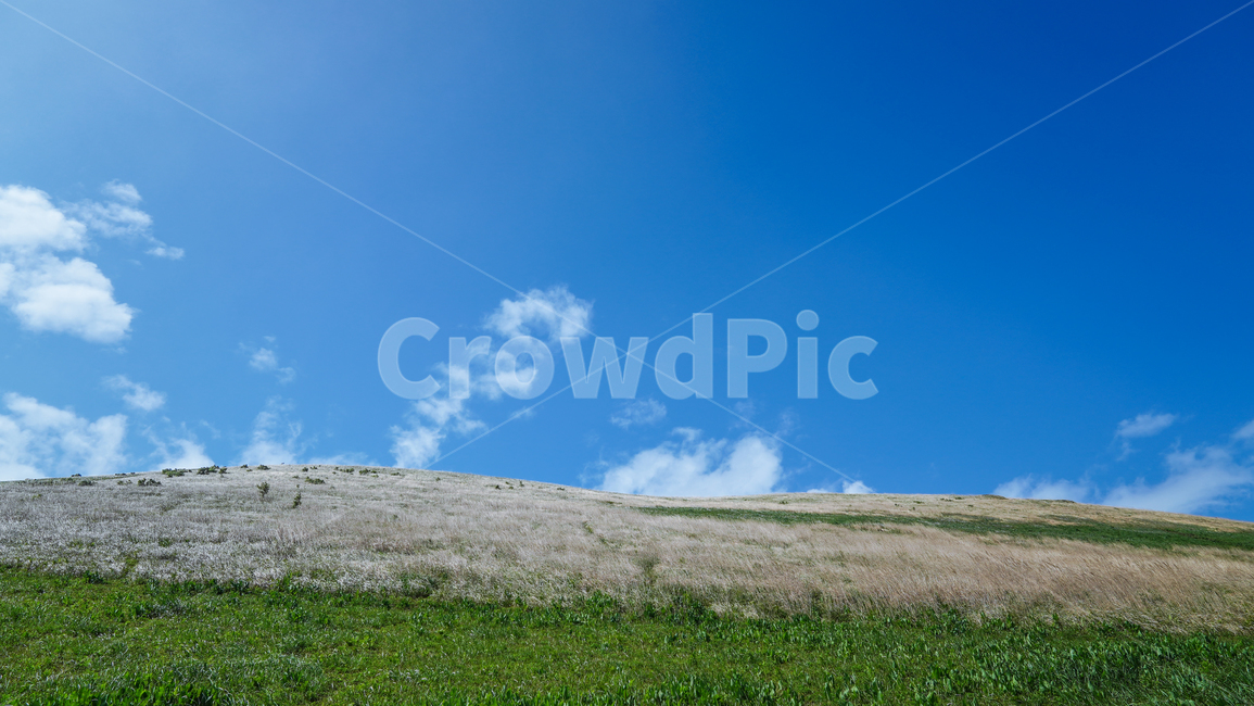 오름,제주,제주오름,하늘,억새,자연,nature,jeju,korea,한국,oreum,volcano,sky