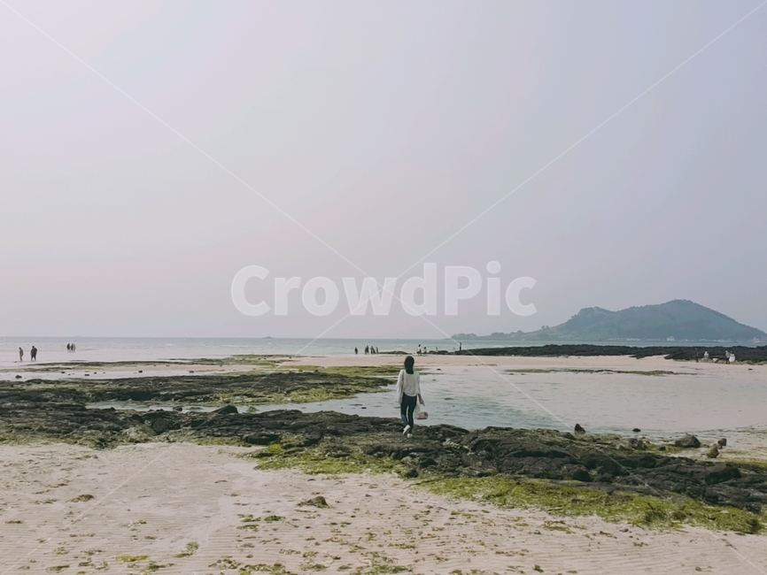 바다,제주도,애월해변,모래사장,제주바다