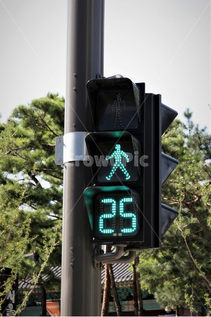보행자,신호등,잔여,표시기,파란불,교통,교통수단,traffic,transportation