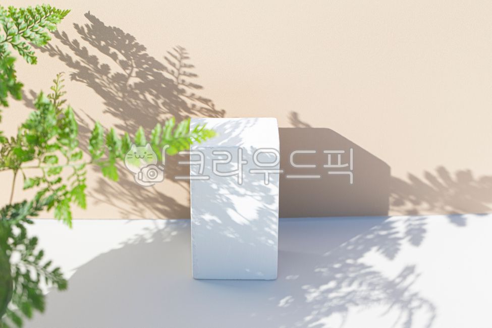 exhibition,shadow,display,leaf,filming props,3d background,white,light,prop,plant,showcase,display box,white box,exhibition die,exhibition stand