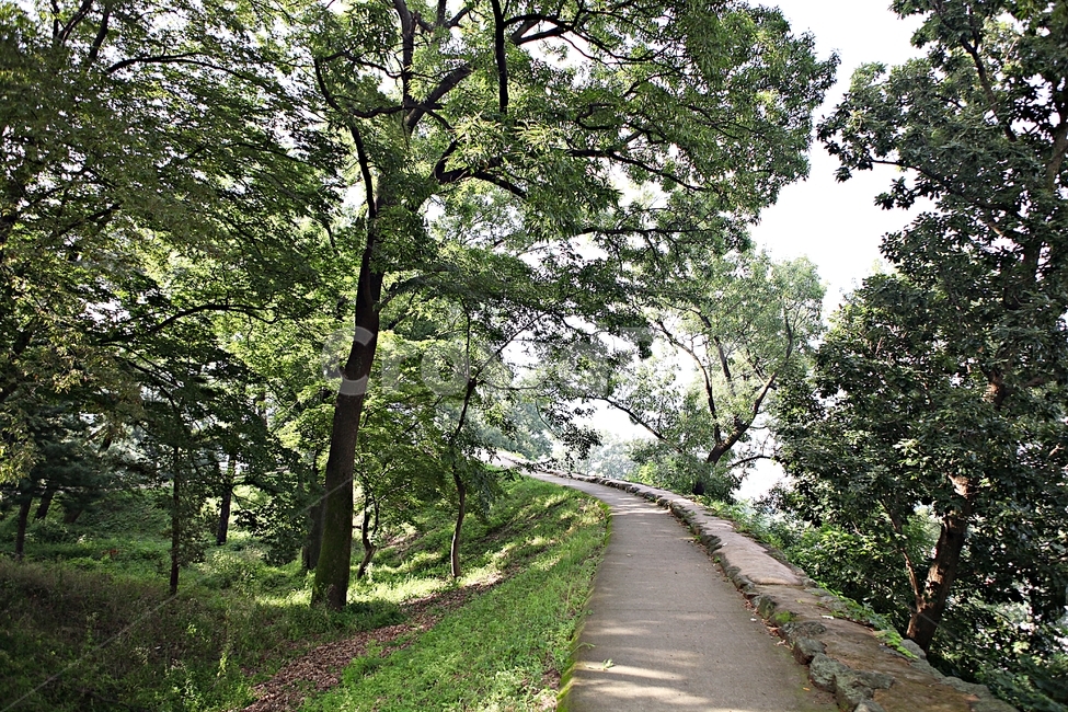 공주산성,성,산성,성곽,길,둘레길,숲,숲길,돌담,담,여름,풍경,흙담,벽,방어벽,나무,식물,유네스코등제
