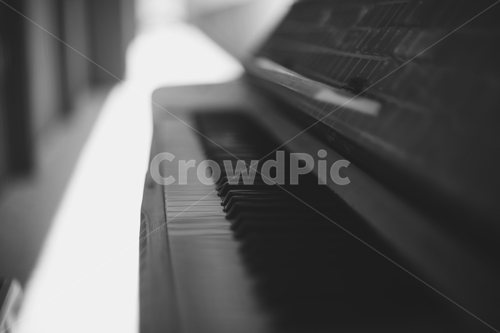피아노,음악,music,악기,instrument,감성,감성사진,흑백,흑백사진,blackandwhite,흑백,모노톤,monochrome,black and white,악기,음향기기,musical instrument,musical equipment