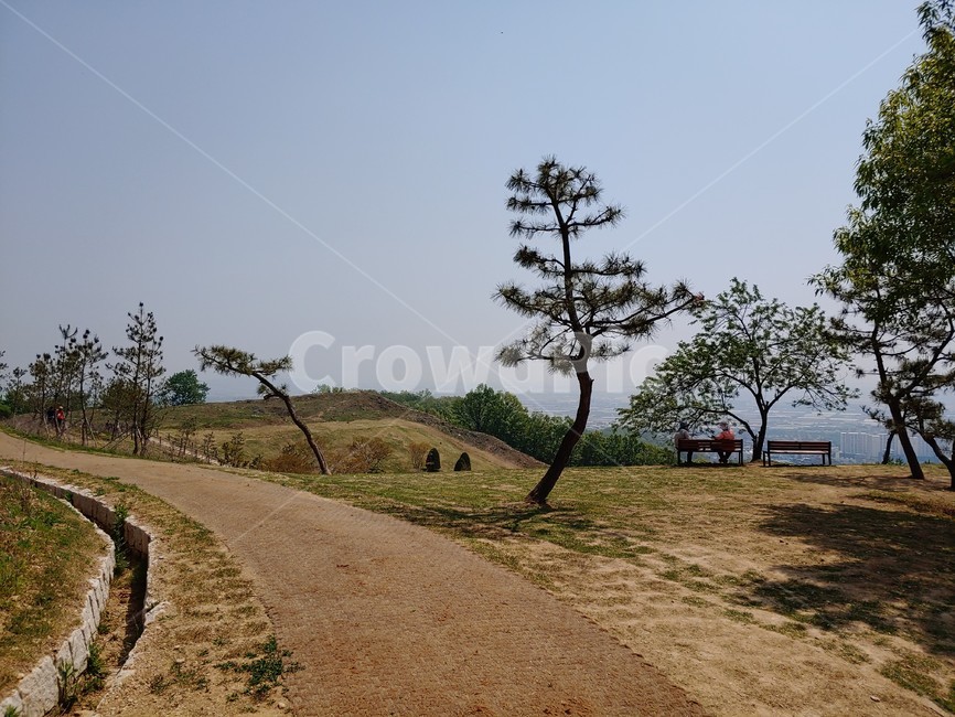 트레킹,산길,팔각정,등산,등산로