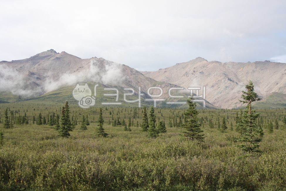 cloud,tundra,mountain,Denali National Park,nature,trekking,alaska,sight,Alaska,denalinationalpark