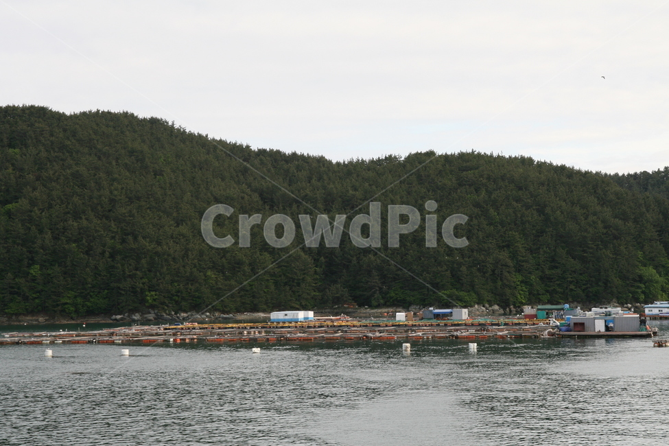남해,바다,가두리,양식장,풍경,자연,풍경,nature,landscape,산업,industry,industrial,어업,fishery,fishing industry