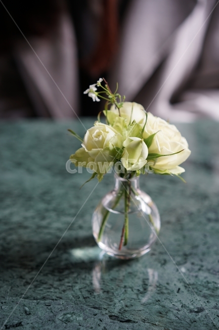 장미꽃,흰장미,꽃병,화병,테이블위꽃,식물,자연,plants,nature,꽃,flower,실내용화초,화분,화초,house plant,인테리어,실내디자인,interior design