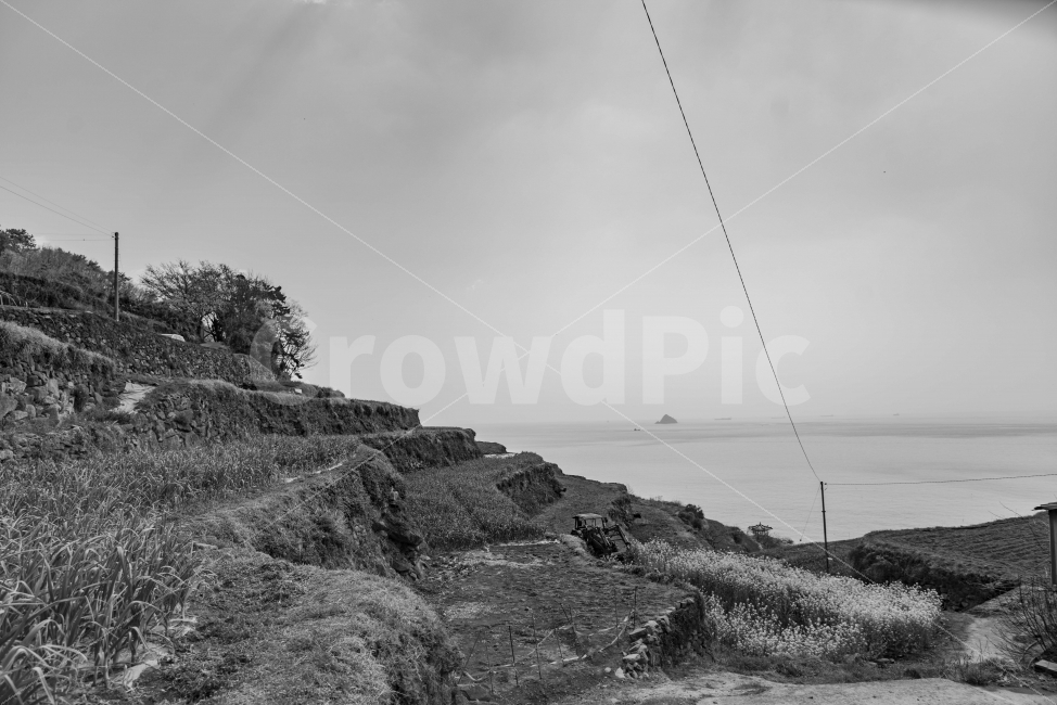 다랭이밭,다랭이마을,시골,흑백,풍경,남해,자연,풍경,nature,landscape,흑백,모노톤,monochrome,black and white,leisure activities,레저 활동,adventure,모험