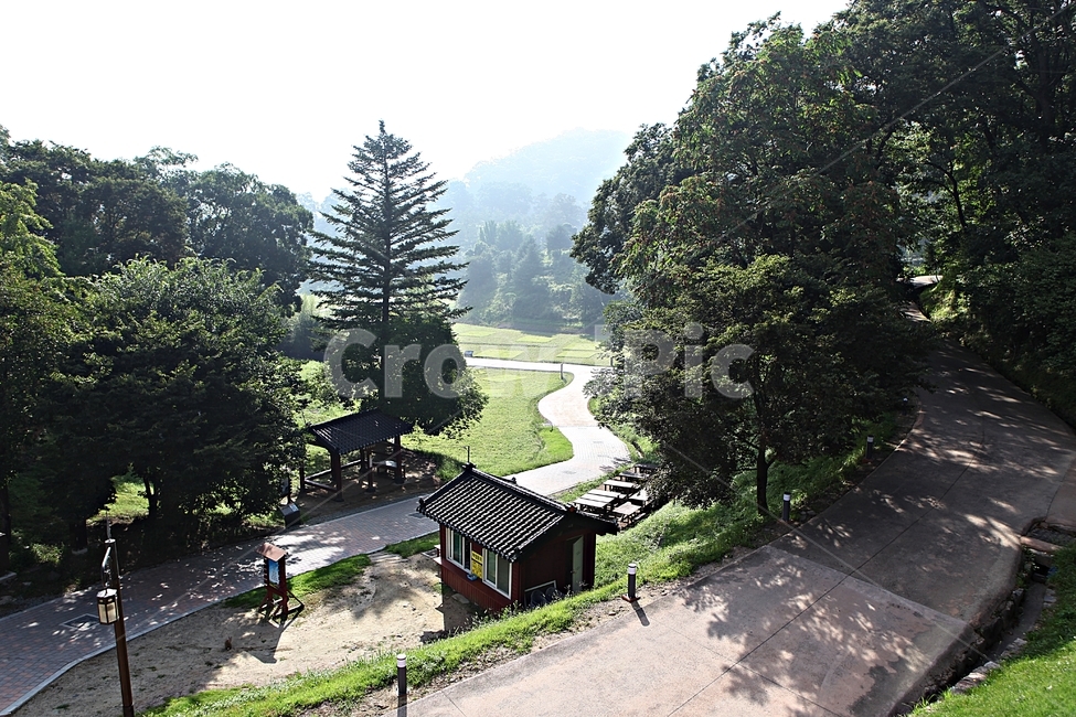 공주산성,성,산성,성곽,길,둘레길,숲,숲길,담,돌담,여름,풍경,벽,방어벽,흙담,식물,유네스코등제