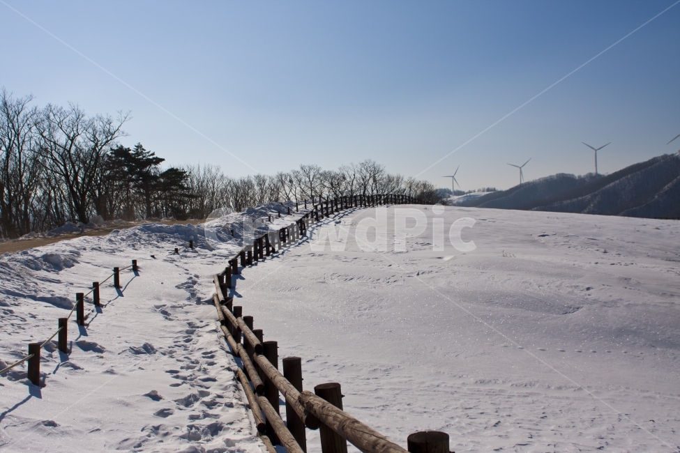 대관령,풍경,자연,울타리,눈,landscape,겨울,계절,winter,season,자연,풍경,nature,landscape,banister,난간,handrail