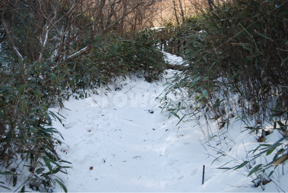 자연,nature,산,mountian,휴양지,겨울,계절,winter,season,자연,풍경,nature,landscape,tree,나무,plant,식물,outdoors,옥외