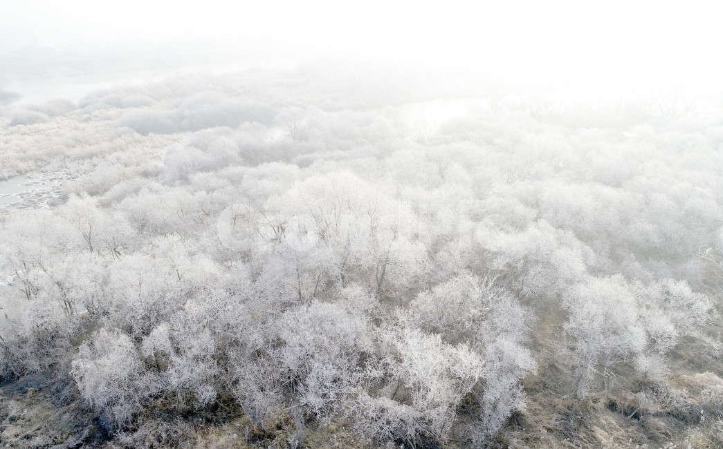 상고대,서리발,겨울,겨울풍경,서리,소양강,눈,나무,겨울,계절,winter,season,자연,풍경,nature,landscape,outdoors,옥외,snow,frost