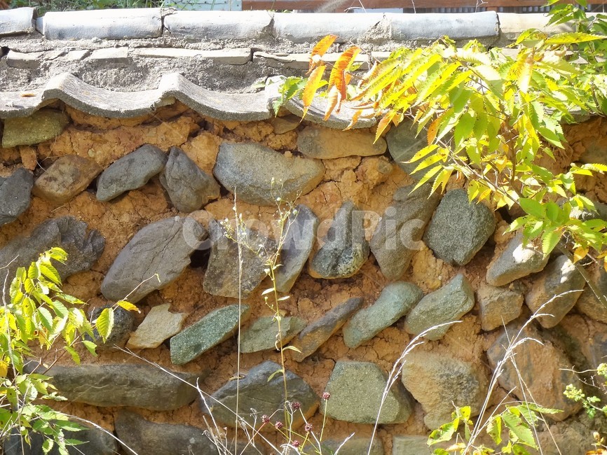 돌담,담벼락,담,농촌풍경,돌,한국전통,한국문화,korean traditional,korean culture,건축물,건물외관,exterior,building,structure,architecture,construction