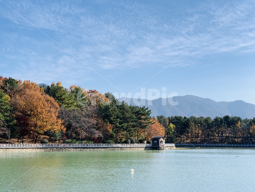 water,물,lake,호수,outdoors,옥외,nature,자연,풍경,landscape,view,가을,fall,autumn,창원,용지호수,한국,korea,autumnleaves,낙엽,하늘,sky,구름,cloud,배경,산,mountain,plant,식물,나무,tree,감성,감성사진,feeling