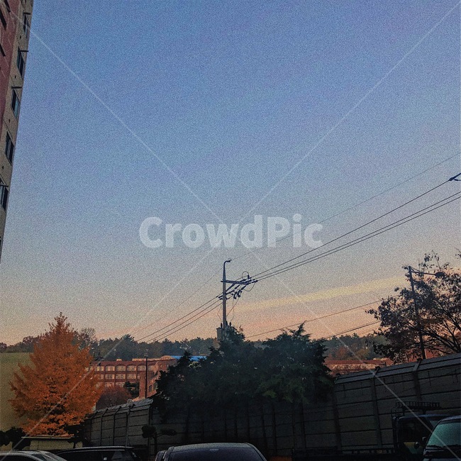 하늘,노을,나무,sky,sunset
