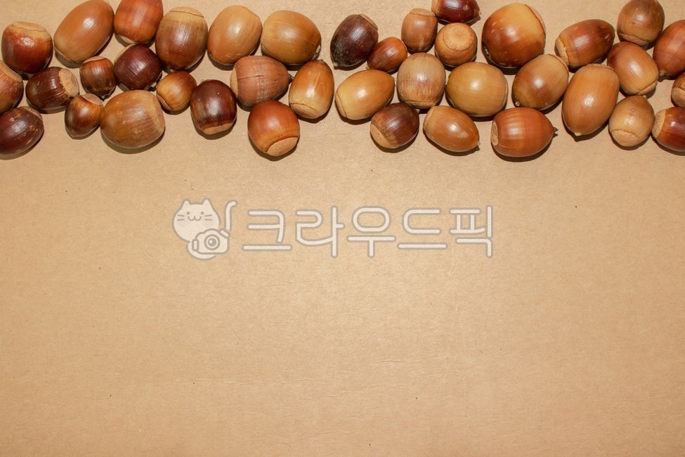 도토리,acorn,견과류,브라운,배경,제철음식,데코,가을,열매,견과,너트,음식,제철,갈색,밤색,데코레이션,장식,장식품,소품,장식소품,바탕,백그라운드,식물,자연,그룹,무리,집단,재료,식재료,비슷,비슷한,닮은,패턴,무늬,질감,텍스처,텍스쳐,decoration,background,plant,food,foods,acorns,fruit,nut,autumn,fall,brown,group,ingredient,similar,pattern,texture,decor,decorate,nature,natural
