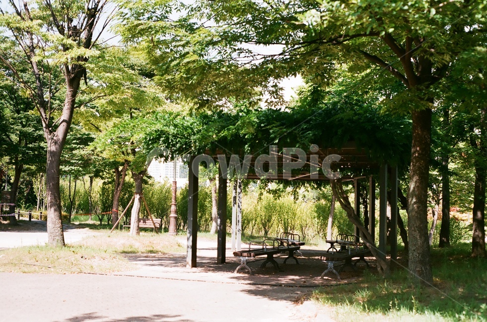자연,여름,녹색,나무,쉼터,벤치,화창한날,푸름,여름,계절,summer,season,자연,풍경,nature,landscape,휴식,힐링,rest,relaxation,healing,arbour,정자,garden,정원,outdoors,옥외