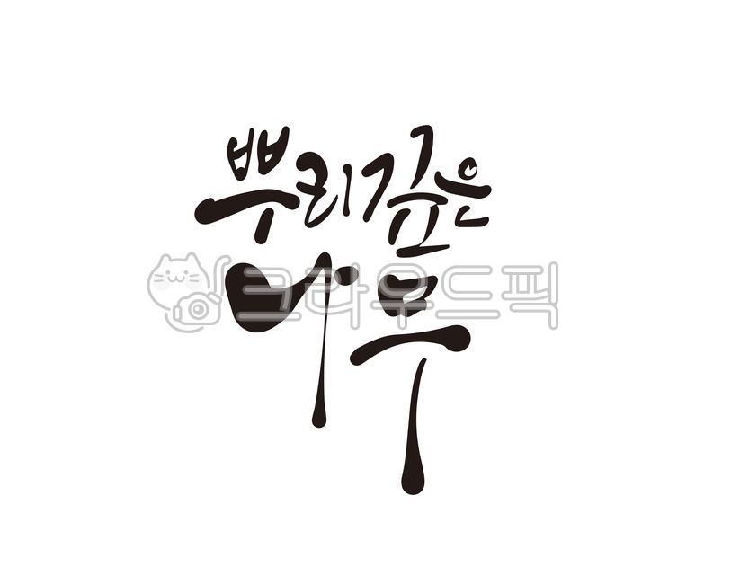 뿌리,나무,뿌리깊은나무,캘리,캘리그라피,손글씨,캘리그라피,손글씨,calligraphy