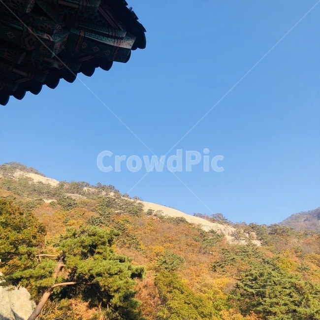 절,시골,산,자연,nature,풍경,하늘,가을,단풍,계절,나무