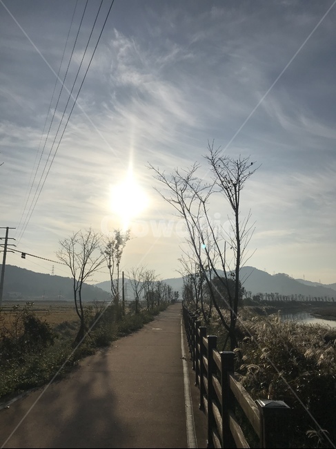 자연,산책,길,숲,갈대,억새,가을