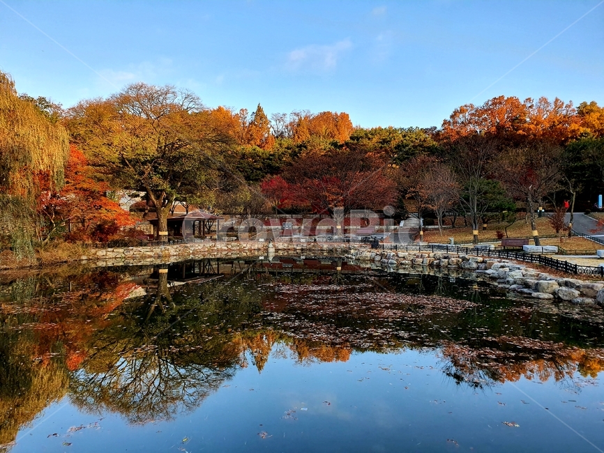 water,lake,자연,nature,autumn,가을,풍경,힐링,peace