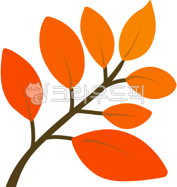 tree branch,tree,maple tree,autumn tree,autumn,maple,Chuseok,maple leaf,fall,autumn branch,autumn atmosphere,red branch,red leaf,red leaf,leaf