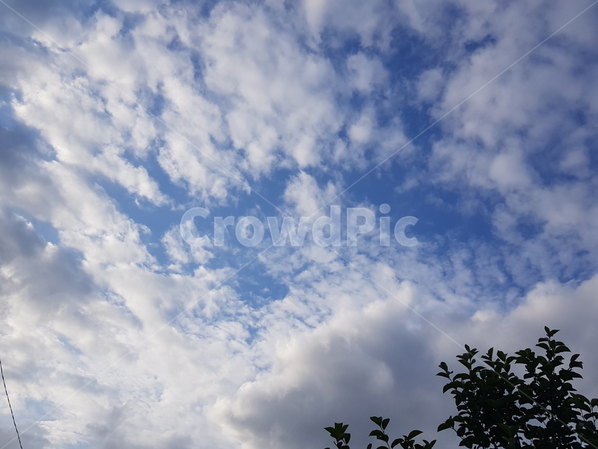 구름,뭉게구름,하늘,파란하늘,풍경,특이한구름,cloud,sky,자연풍경