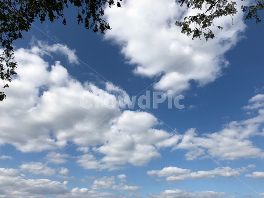 nature,자연,outdoors,옥외,azuresky,푸른하늘,하늘,구름,푸른하늘,파란하늘,맑은날,여름하늘,오후,korea,한국,자연,풍경,nature,landscape,azure sky,푸른 하늘,sky