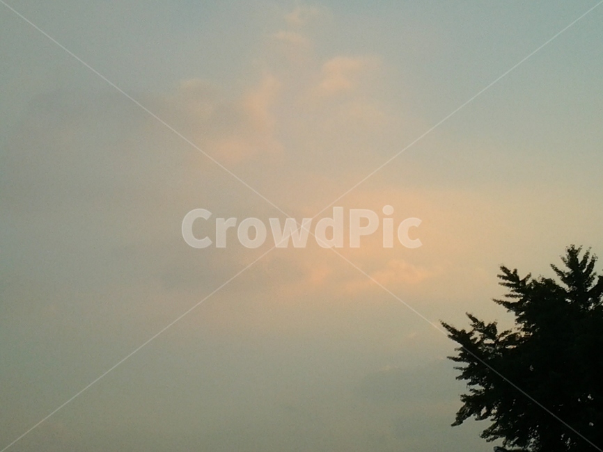 하늘,노을,구름,자연,sky,sunset,cloud,nature,자연,풍경,nature,landscape,tree,나무,plant,식물,fir,전나무