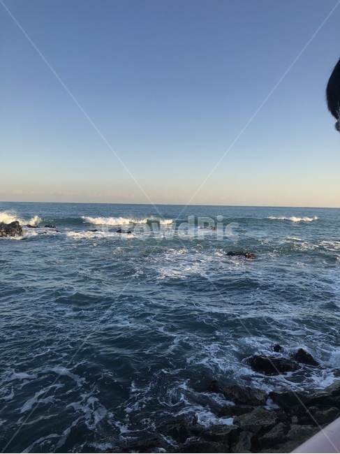 바다,기장,자연,sea,nature,파도