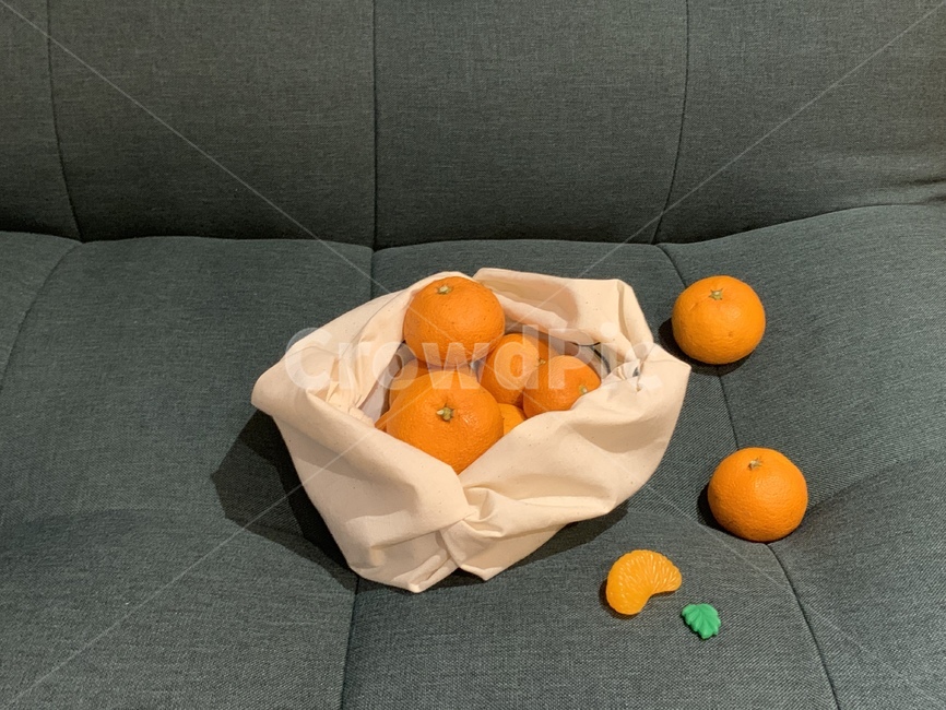 citrusfruit,감귤,귤,fruit,과일,과일바구니,제주감귤,감귤모형