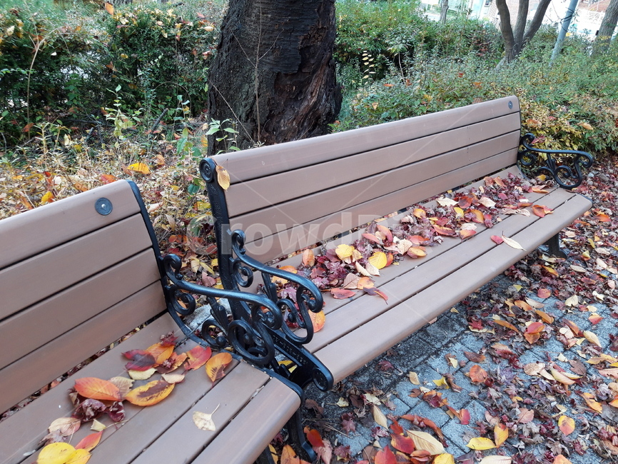 bench,benchwithleaf,낙옆,leaf,벤치,가을,계절,fall,autumn,season