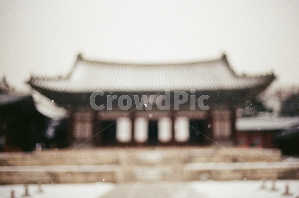 눈,겨울,창경궁,전통,감성사진,서울,대한민국,필름사진,눈입자,겨울사진,몽환,눈내리는,따뜻한,풍경,고요한,아늑한,snow,winter,tradition,film,sensitive,warm,landscape,cozy,korea,seoul,겨울,계절,winter,season,한국전통,한국문화,korean traditional,korean culture,랜드마크,landmark,tourist attraction,한국랜드마크,한국관광지,한국명소,korea landmark,korea tourist attraction,감성,sensible,feeling