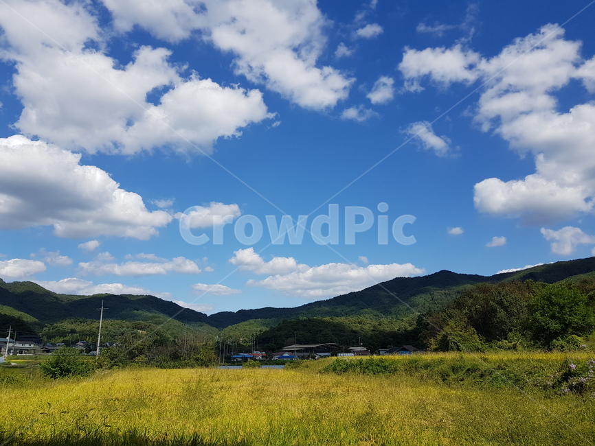 구름,하늘,시골,논,맑은하늘,시골,마을,풍경,landscape,country,rural,town