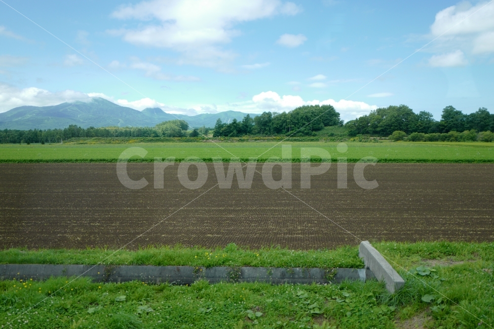 시골풍경,들판,밭,농촌,수로,시골,자연,풍경,nature,landscape,시골,마을,country,rural,town