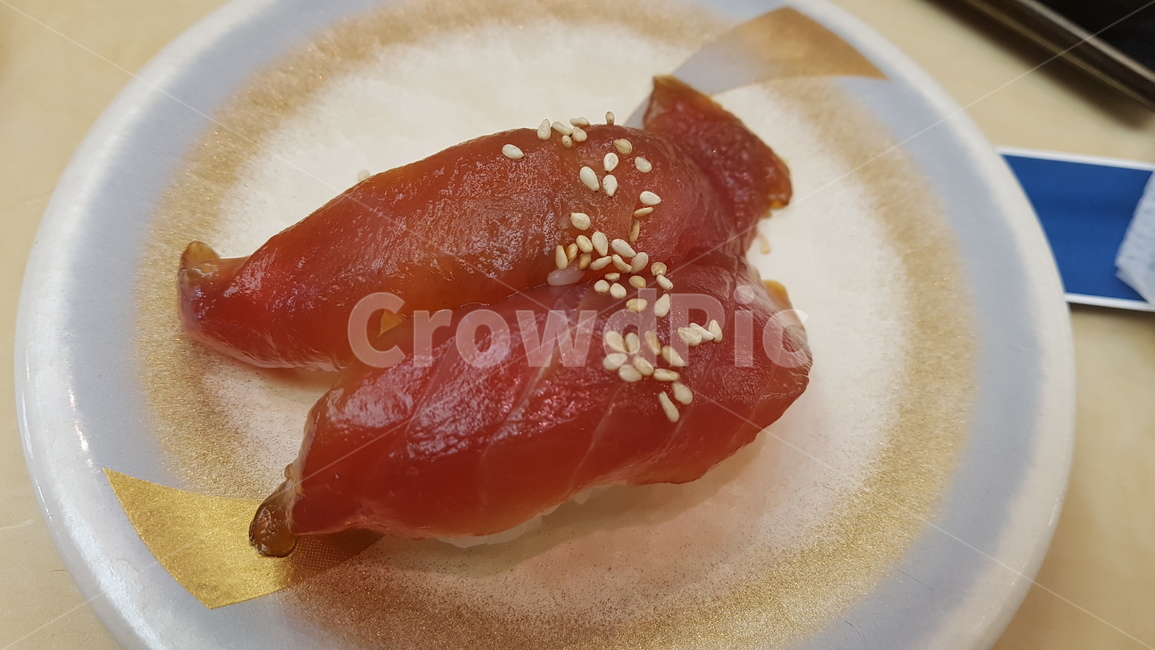 연어,스시,살몬,일본,일본음식