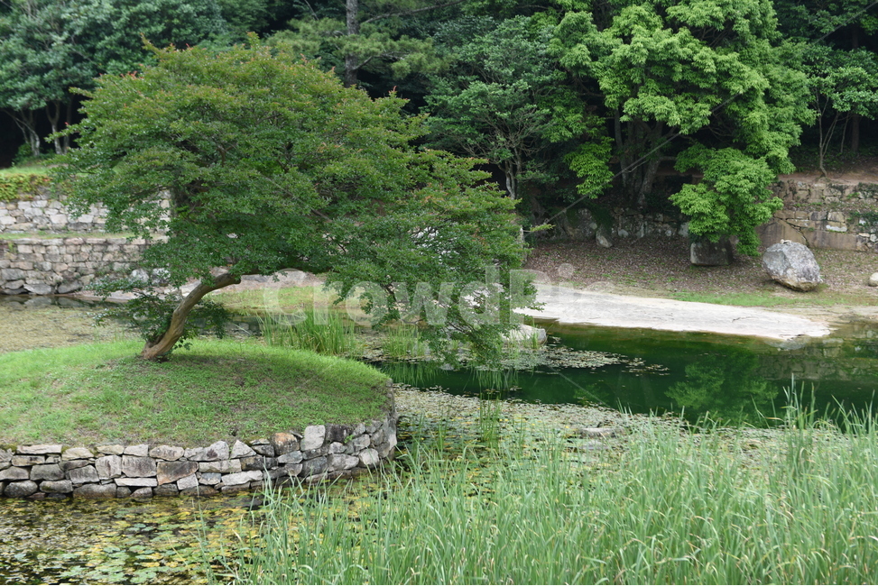 보길도,세연정,윤선도,섬,정원