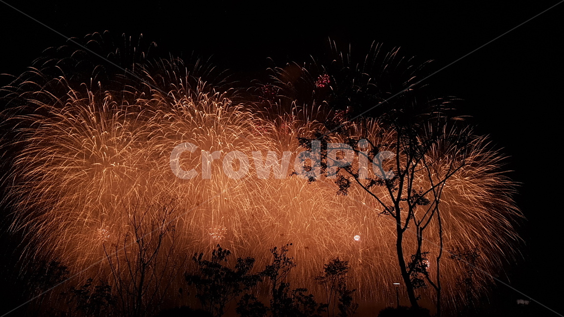불꽃,화려한,야경,축제,firework,여의도,하늘,festival,야경,밤,풍경,nightscape,night,landscape,축제,행사,festival,carnival,event,nature,자연,outdoors,옥외