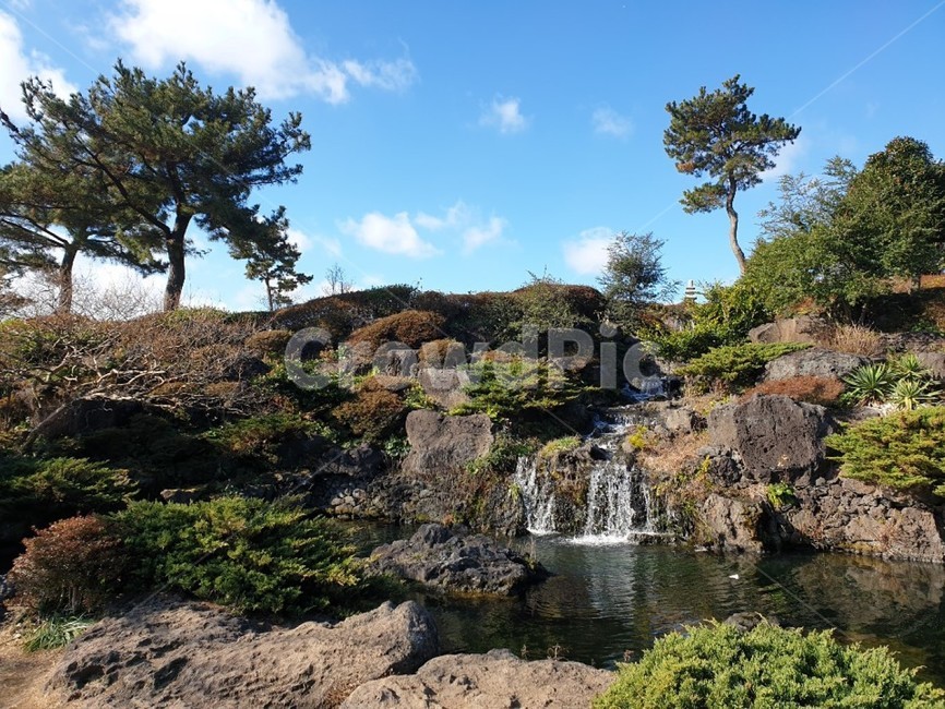 카밀리아힐,폭포,자연,나무,연못,자연,풍경,nature,landscape,한국자연풍경,한국자연경관,korea nature landscape,water,물,outdoors,옥외,river,강