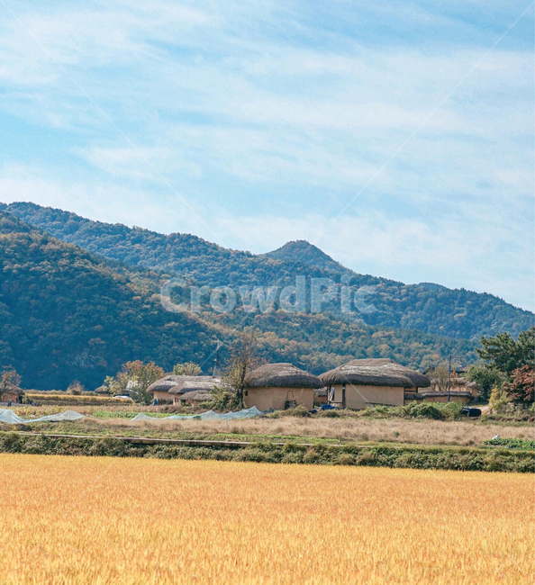 nature,자연,초가집,안동하회마을,산,논,풍경,가을,가을,계절,fall,autumn,season,시골,마을,풍경,landscape,country,rural,town,자연,nature,한국자연풍경,한국자연경관,korea nature landscape,outdoors,옥외
