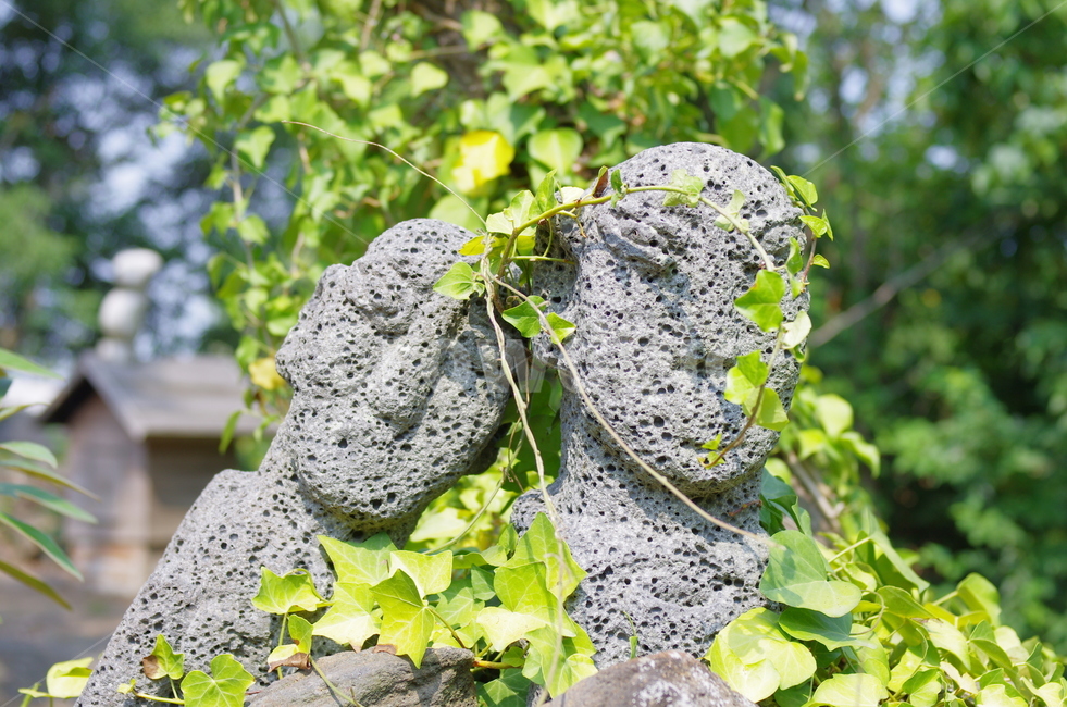 우리나라,제주도,관광명소,돌하르방,잎,공원,jeju,korea,stonesculptures,제주,석상,하르방,한쌍,자연,풍경,감성사진