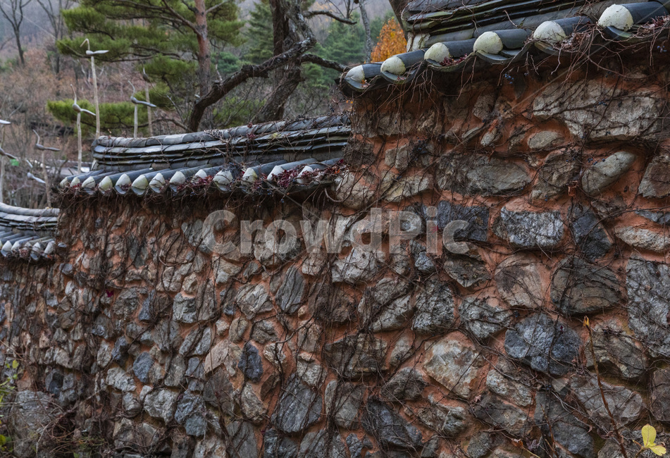 담,벽돌,전통,기와,덩쿨,담벼락,배경,한국전통,한국문화,korean traditional,korean culture,건축물,건물외관,exterior,building,structure,architecture,construction