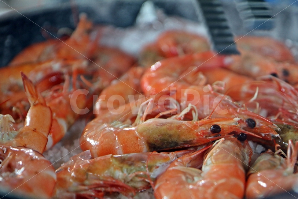 새우구이,소금구이,새우,익다,먹다,음식,식사,붉은,붉은새우,음식,식재료,요리,food,cook,meal,dishes,food reserves,수산물,해산물,fishery products,seafood