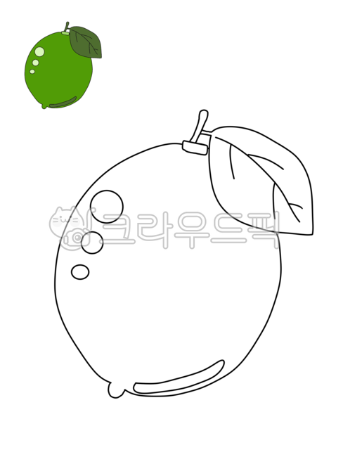 색칠공부,색칠,크레파스,과일색칠,과일색칠공부,과일,과일칠하기,초등미술,과일일러스트,그림놀이,라임,라임도안,라임색칠,라임색칠공부,라임그리기,도안,과일도안,유아미술,유아색칠놀이,색칠놀이,과일색칠놀이,과일,열매,fruit,그래픽,일러스트레이션,graphic,illustration