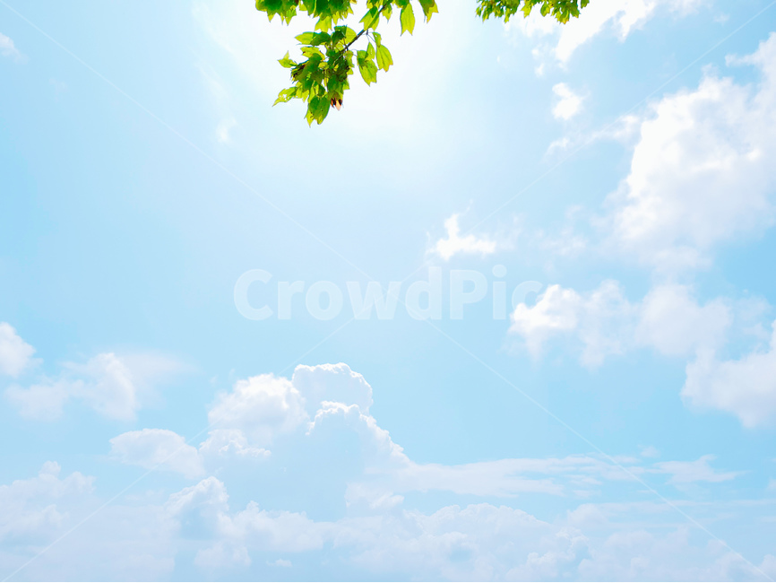 하늘,구름,파랑,풍경,여름,자연,풍경,nature,landscape,outdoors,옥외,azure sky,푸른 하늘,sky