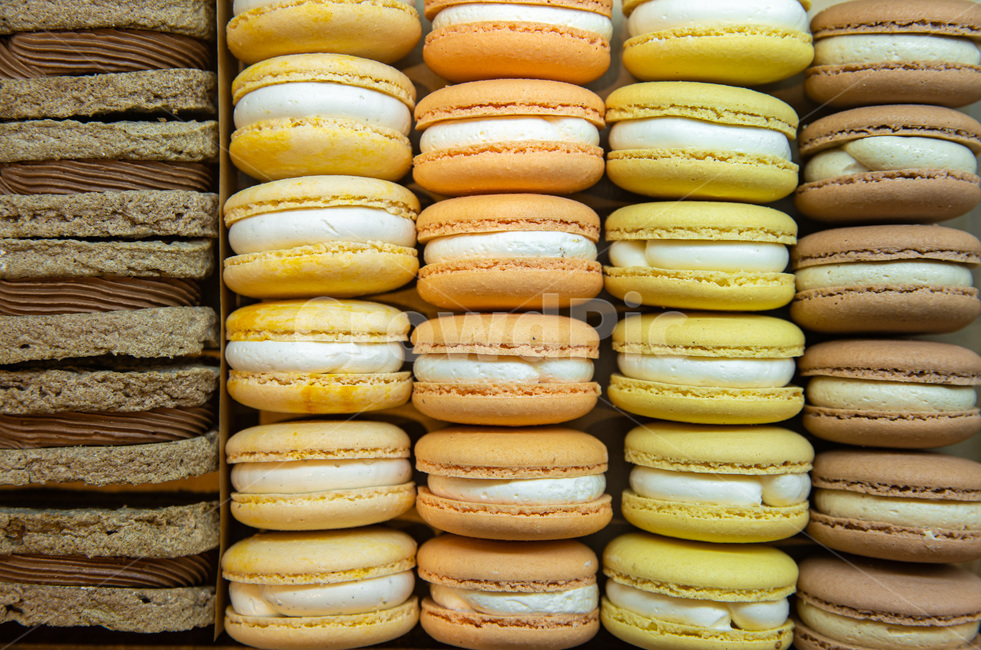 macaron,마카롱,간식,쿠키,디저트,케이크,프랑스디저트,과자,snack,color,설탕,사탕,음식,food,meal,dessert,음식,식재료,요리,food,cook,meal,dishes,food reserves,디저트,간식,후식,dessert,snack